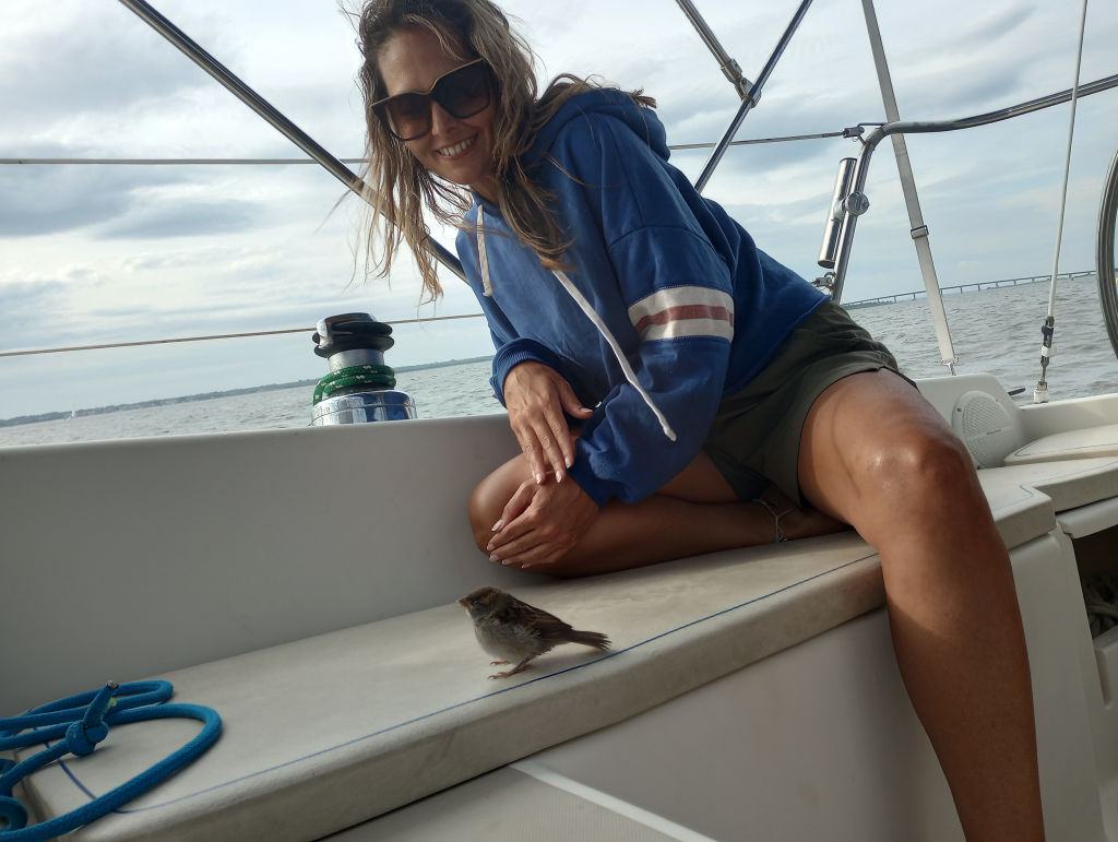Sunset sailing in Ocean City, New Jersey